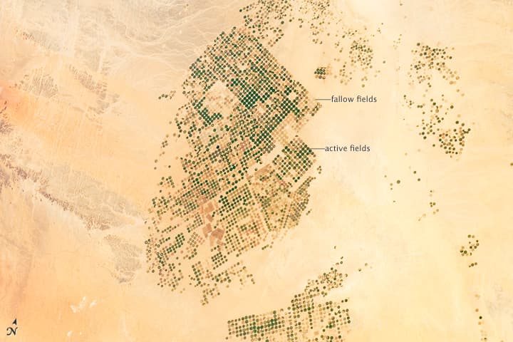 Satellite view